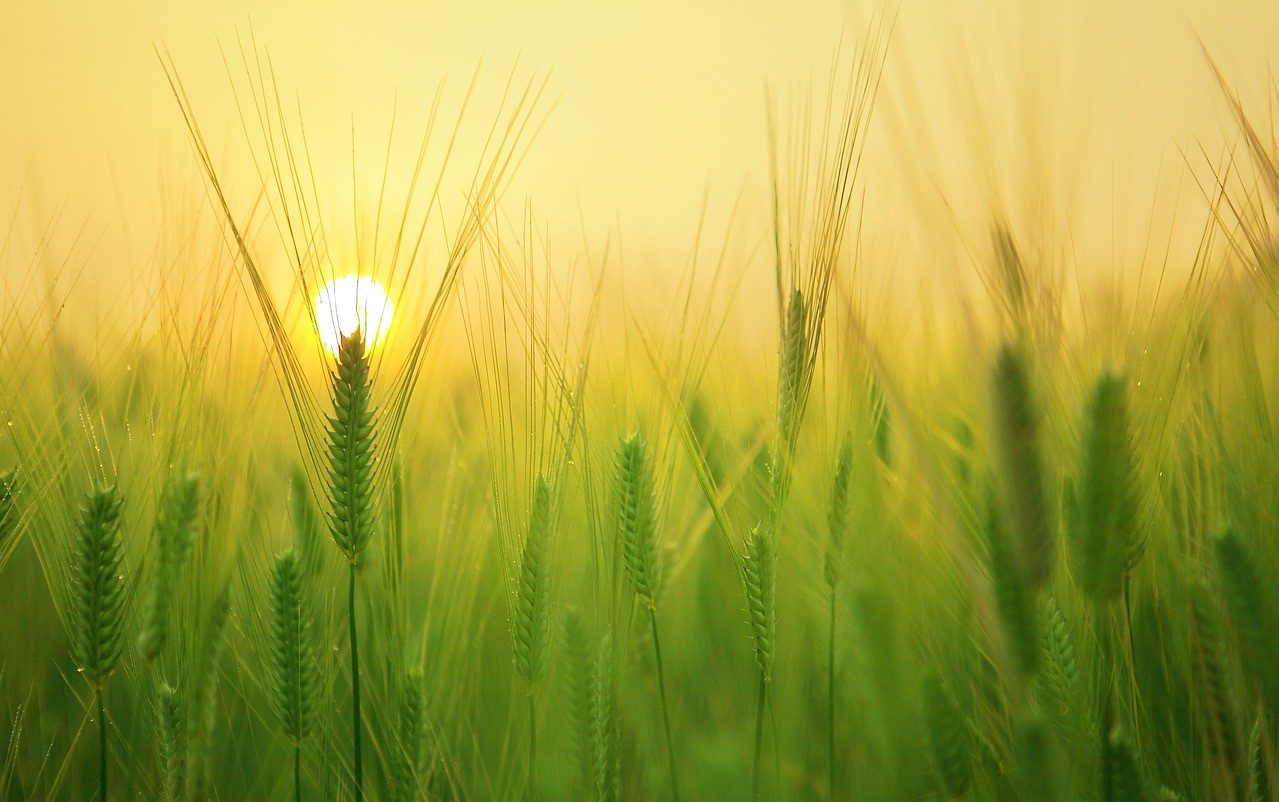 Misconceptions About Therapy – What We Often Carry Before We Begin