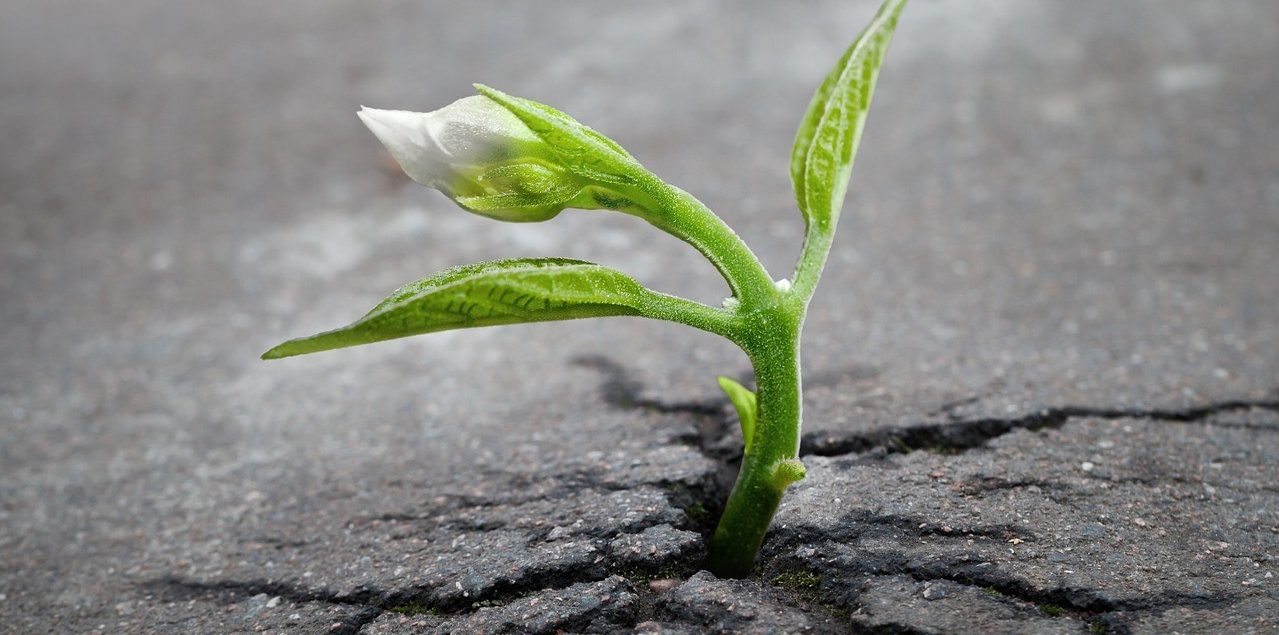 How Psychotherapy Can Help: Understanding the Benefits of Therapy